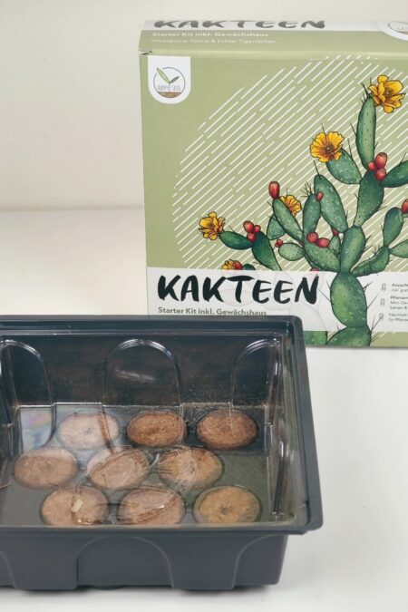 Kaktuste kasvatamise komplekt (2 liiki), Vendix
