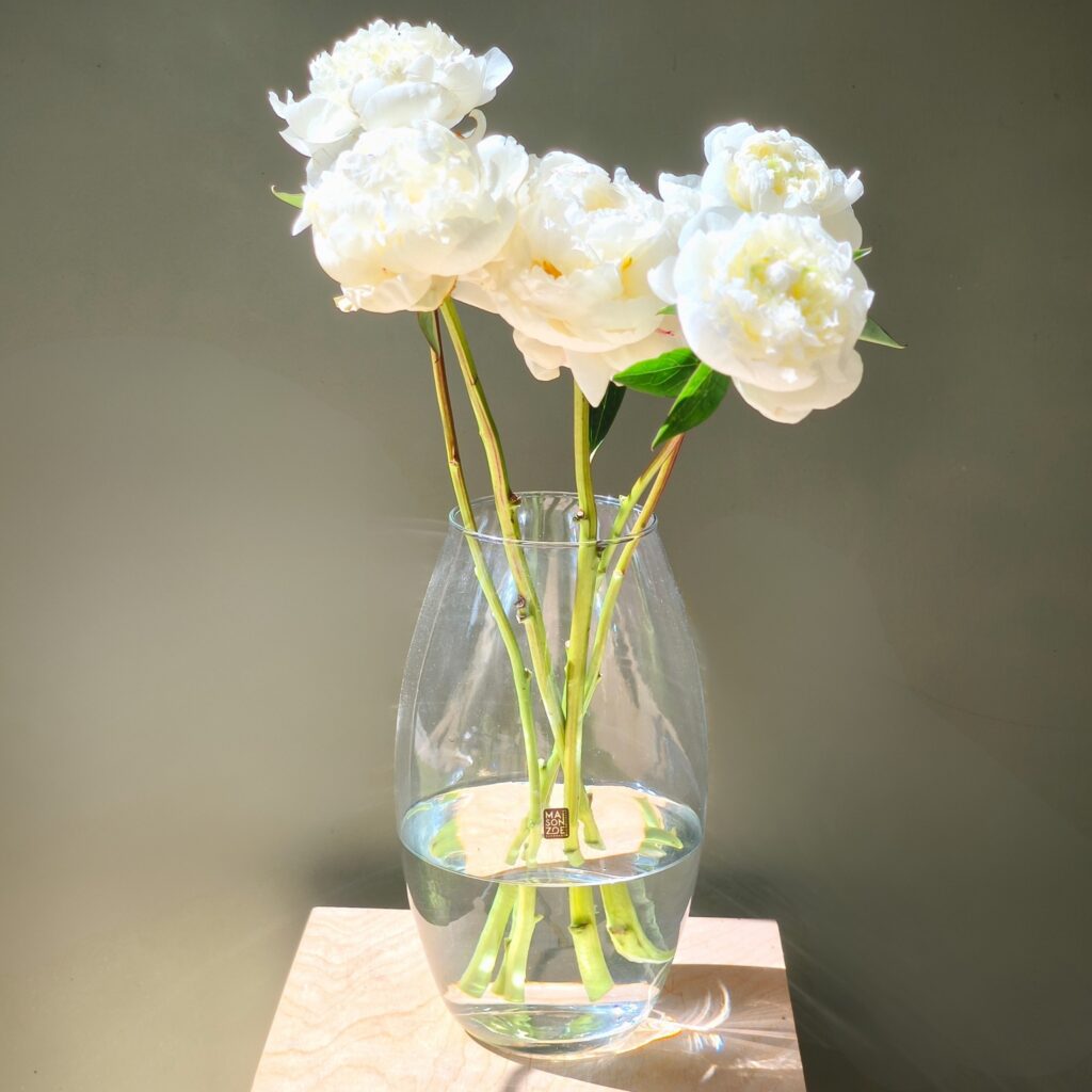 Vaas Amaryllis (D26xH30), Maison Zoe