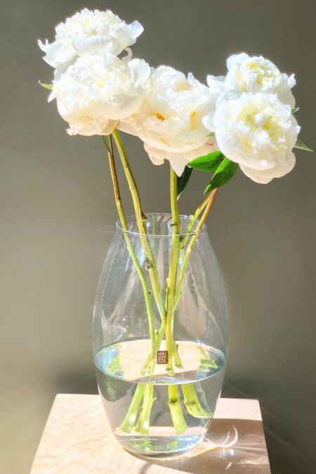 Vaas Amaryllis (D26xH30), Maison Zoe