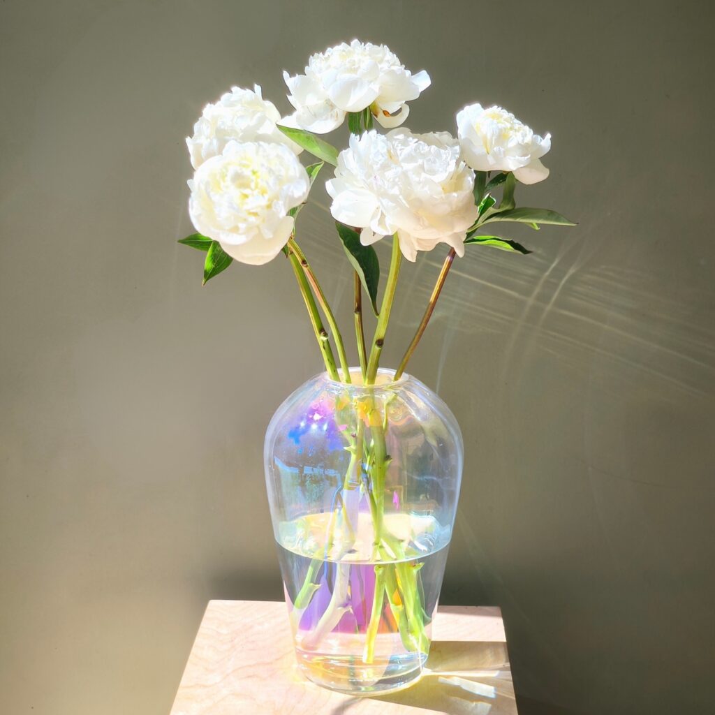 Vaas Aura Lustre (D18xH27.5), Anton Design Studio