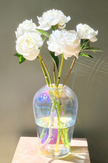 Vaas Aura Lustre (D18xH27.5), Anton Design Studio