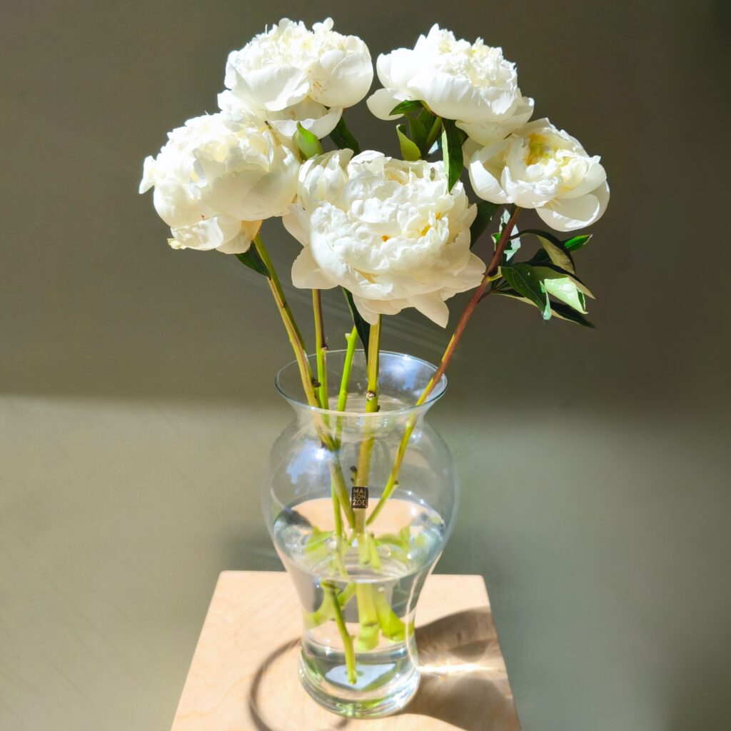 Vaas Flora (D15xH30), Maison Zoe
