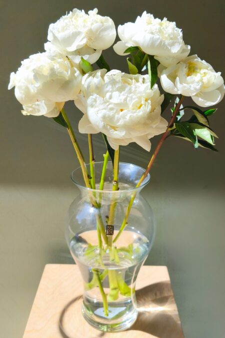Vaas Flora (D15xH30), Maison Zoe